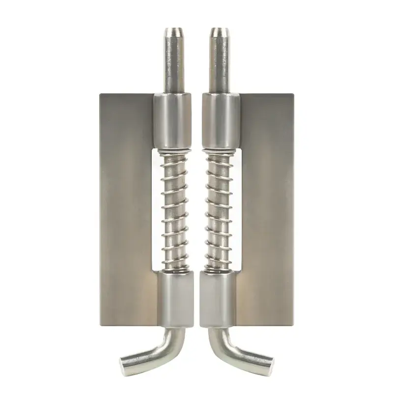 Hinge de verrouillage des boulons de printemps