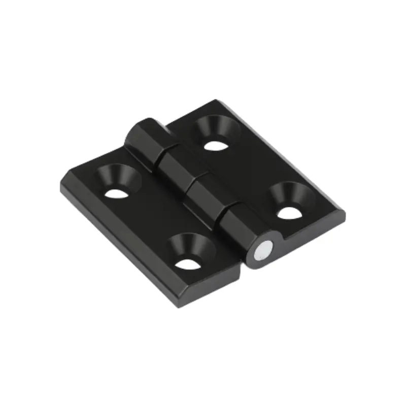 Charnière en acier inoxydable Charnière en acier inoxydable